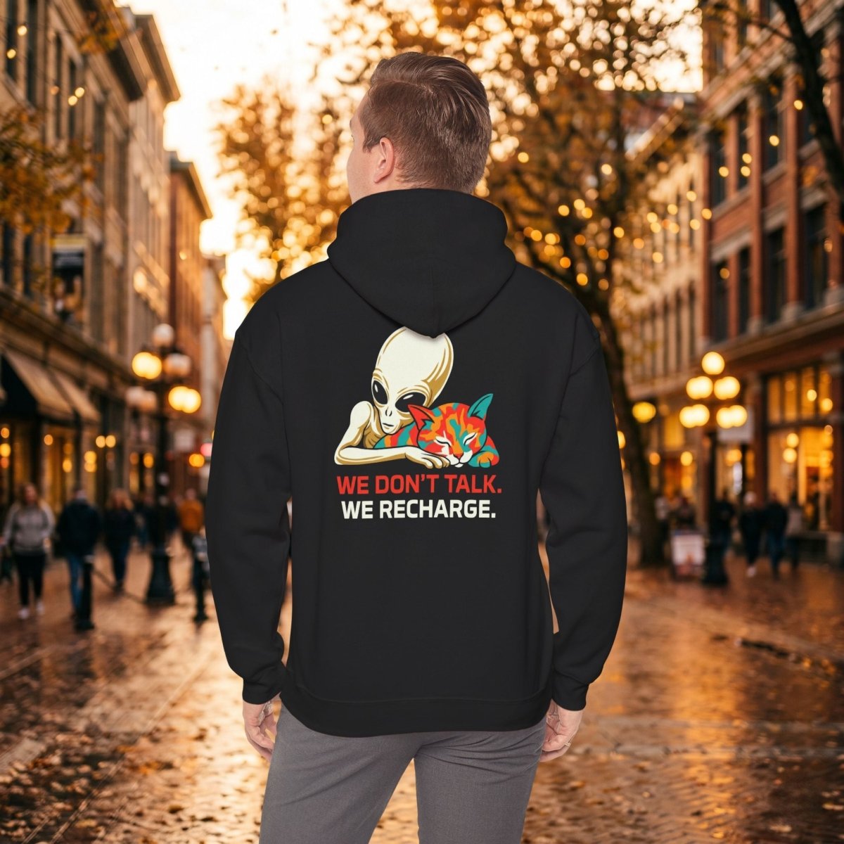 Alien Cat Hoodie — We Don't Talk. We Recharge. | Unisex Heavy Blend™ Hooded Sweatshirt - Spirit Stitch