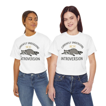 Currently Undergoing Introversion Shirt | Classic Heavy Cotton Tee | Funny Raccoon Tee | Introvert Gift | Low Battery Shirt - Spirit Stitch