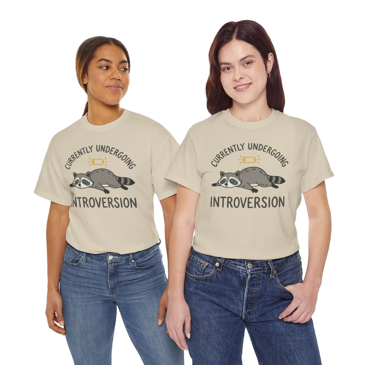 Currently Undergoing Introversion Shirt | Classic Heavy Cotton Tee | Funny Raccoon Tee | Introvert Gift | Low Battery Shirt - Spirit Stitch